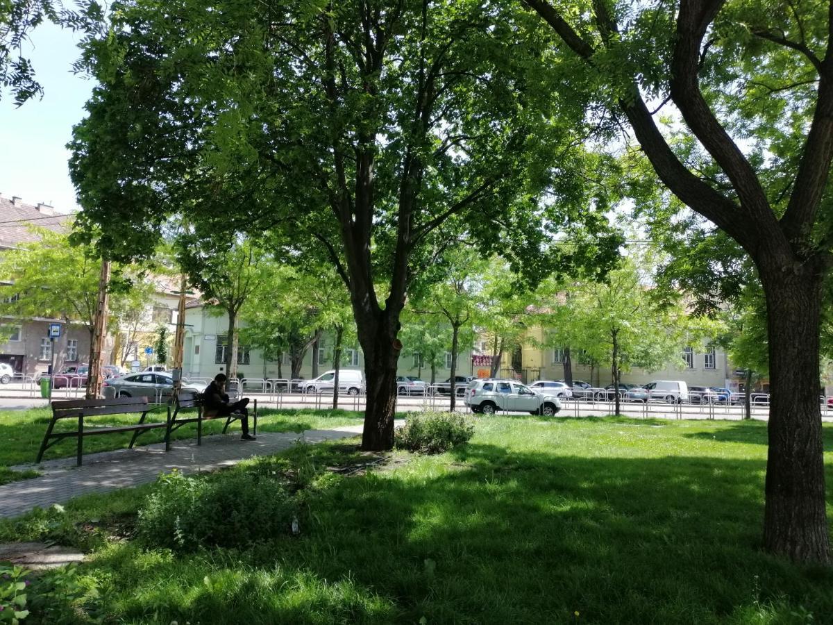 Guest House Orczy Park Будапеща Екстериор снимка
